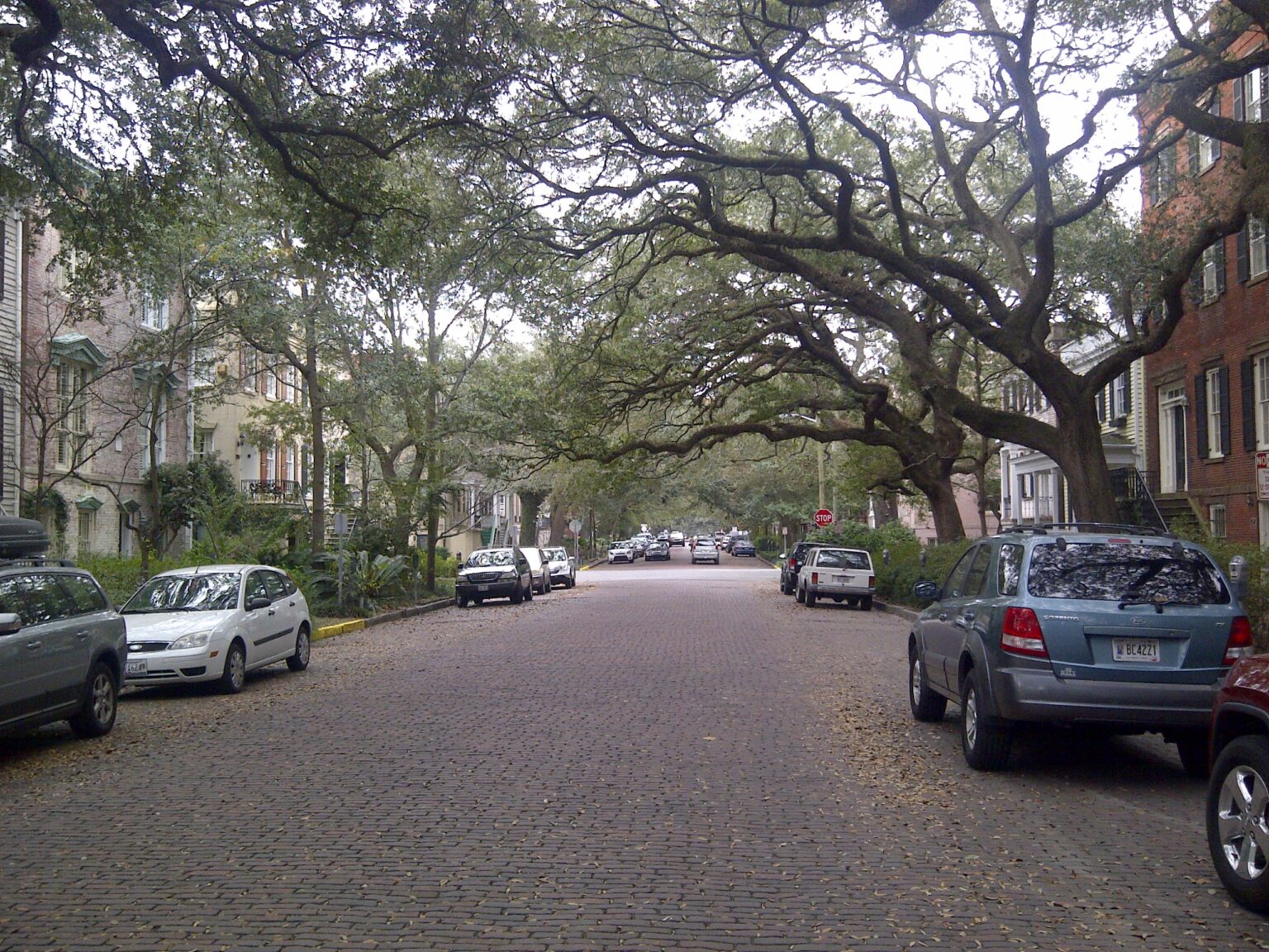 SavannahStreet